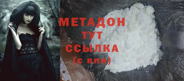 индика Аркадак