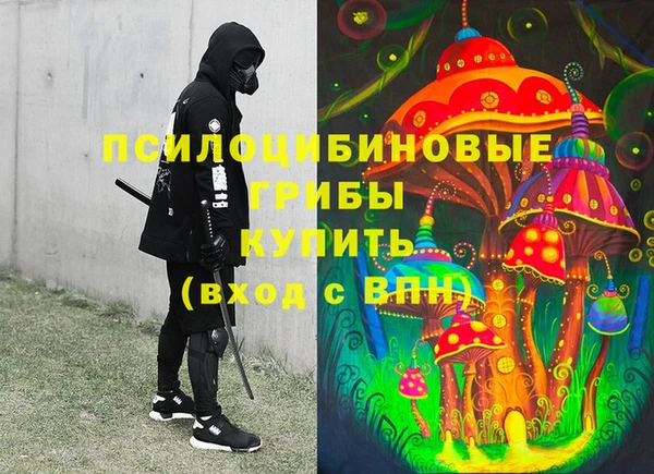 PSILOCYBIN Михайлов