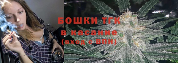 индика Аркадак