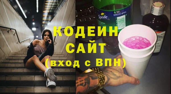 индика Аркадак