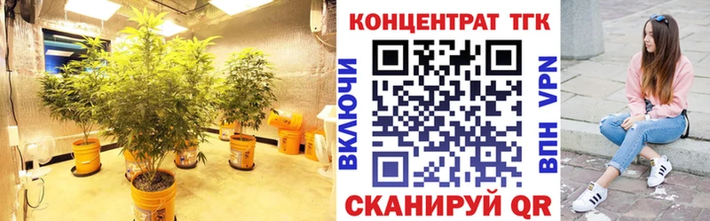 Купить где  Назарово  Дистиллят ТГК концентрат 